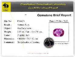 Lab Report