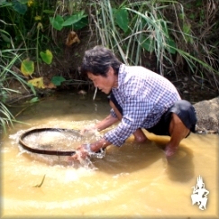 Washing gem bearing gravel at Bo Rai, Trat ...